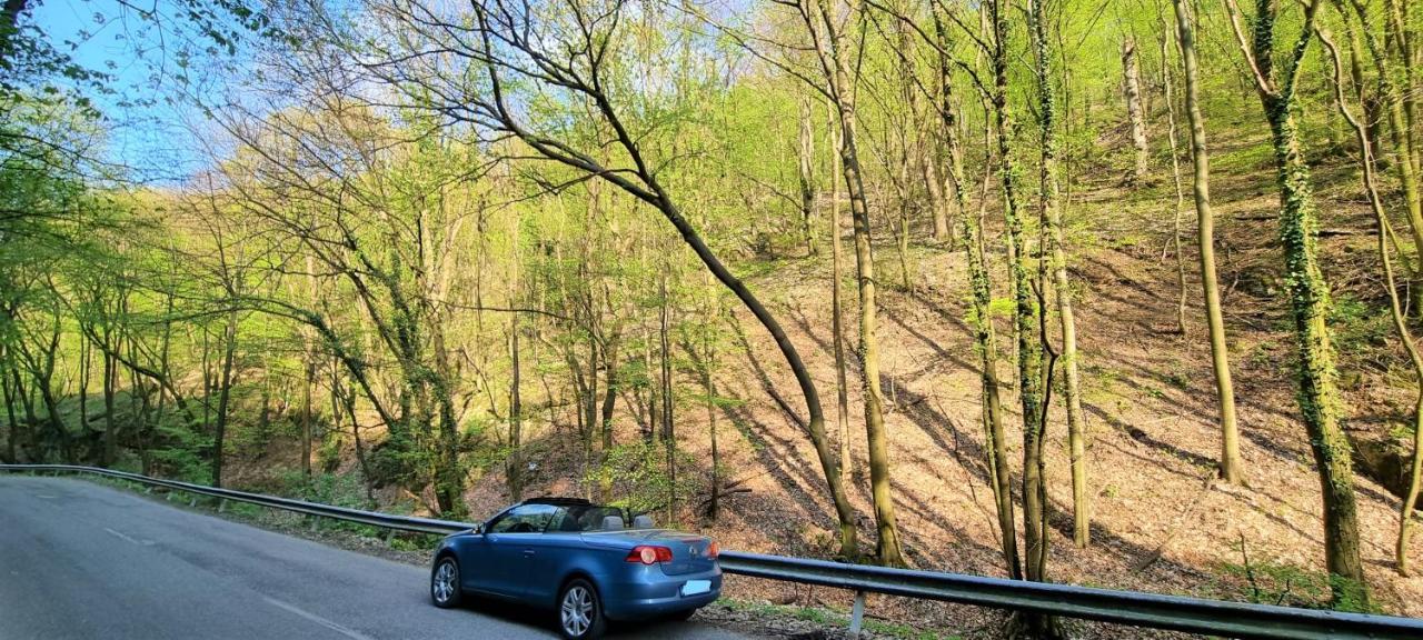 Hos-Cegledi Vendeghaz Miskolc -Oenallo Otthon, Mely Csak Az Oenoeke Exterior foto